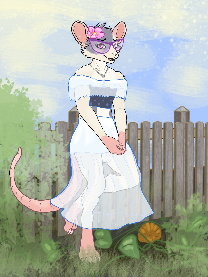 anthro balls clothed clothing crossdressing dress eyewear feet femboy fence flower food fruit genitals glasses ineffective_clothing jewelry male necklace outside penis plant pumpkin solo tail translucent translucent_clothing wearing_glasses jaxneesen roobles mammal murid murine rat rodent 3:4 absurd_res full-length_portrait hi_res portrait