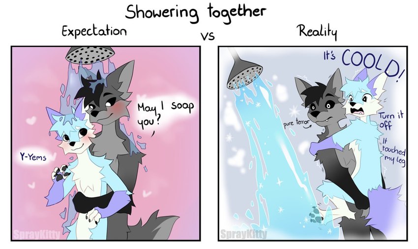 anthro bathing biped black_body black_fur blue_body blue_fur carrying_another carrying_partner duo fingerless_(marking) fur gloves_(marking) grey_body grey_fur male markings showering showering_together text water white_body white_fur spraykitty expectation_vs_reality canid canine fox mammal 2024 digital_drawing_(artwork) digital_media_(artwork) english_text