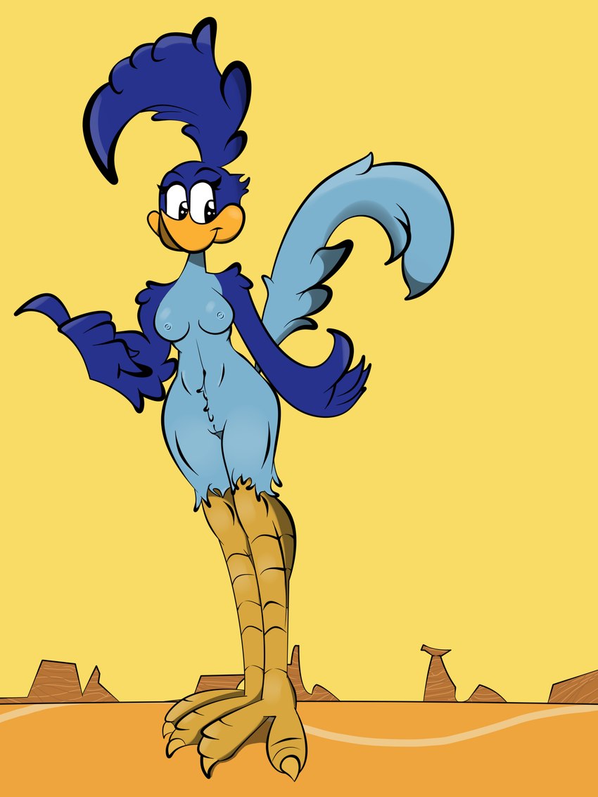 beak blue_body blue_feathers breasts chest_tuft feathers female genitals head_feathers nipples non-mammal_nipples smile solo standing tuft fogata looney_tunes warner_brothers road_runner_(looney_tunes) avian bird cuculiform new_world_ground_cuckoo roadrunner 3:4 hi_res