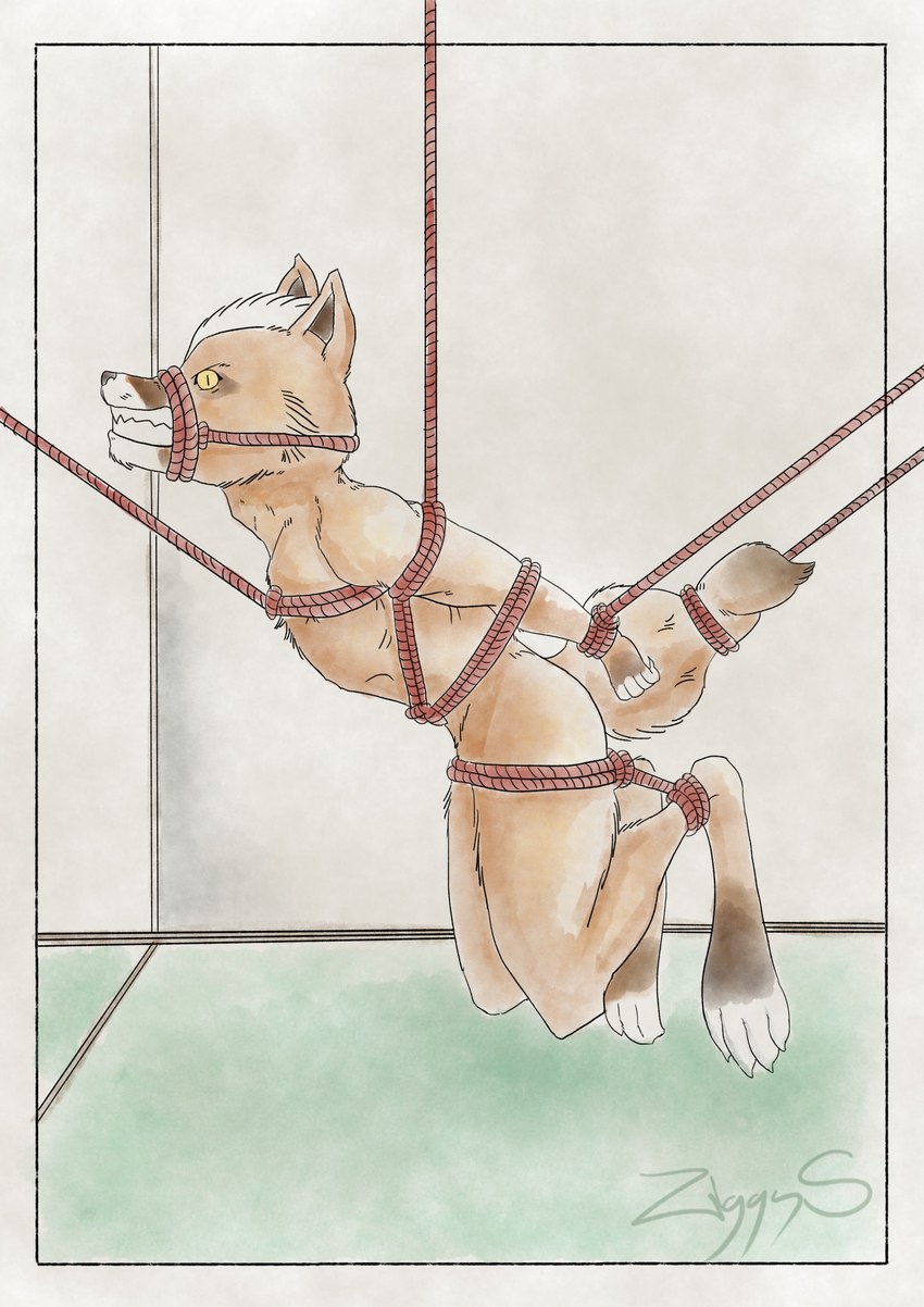 alphabet anthro bdsm bondage bound male nude restraints rope rope_bondage rope_harness solo struggling suspension ziggy_s nintendo star_fox fox_mccloud canid canine fox mammal hi_res