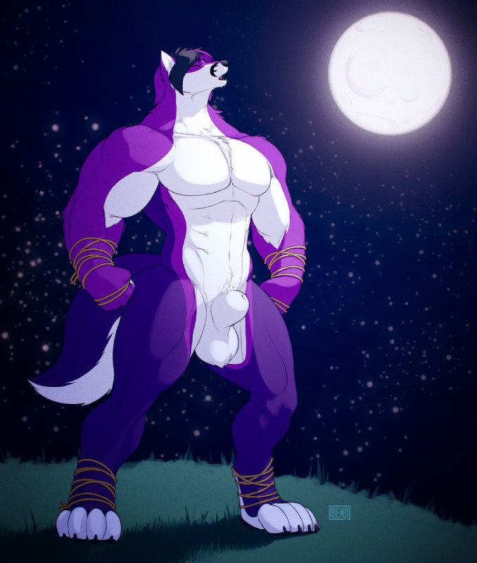 abs animal_genitalia anthro athletic balls barefoot biceps big_muscles biped black_hair black_nose chest_tuft claws countershading fangs feet fully_sheathed fur genitals grass hair hindpaw male moon muscular muscular_anthro muscular_male night nude open_mouth outside paws pecs plant pose purple_body purple_fur purple_hair rope sheath short_hair sky solo standing star starry_sky teeth toe_claws tongue tuft white_body white_fur bng shyloc canid canine canis fox hybrid mammal wolf 2014 cool_colors hi_res