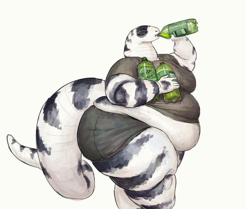 anthro belly beverage big_belly big_breasts big_tail bottomwear breasts clothing drinking eyes_closed female holding_object huge_thighs morbidly_obese morbidly_obese_anthro morbidly_obese_female obese obese_anthro obese_female overweight overweight_anthro overweight_female shirt shorts simple_background soda_bottle solo striped_body stripes tail thick_tail thick_thighs topwear walking white_background white_body white_skin cettus maeve_gibson california_kingsnake colubrid kingsnake lampropeltini reptile scalie snake 2020 hi_res