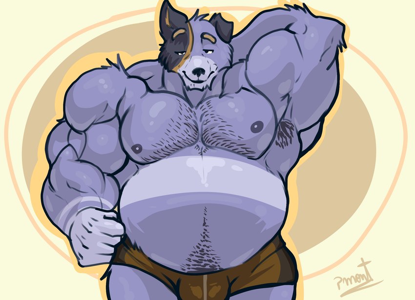 anthro belly big_belly big_muscles body_hair bulge chest_hair clothing fur hairy huge_belly huge_muscles male mature_anthro mature_male multicolored_body multicolored_fur musclegut muscular muscular_anthro muscular_male nipples pubes solo striped_body striped_fur stripes suggestive underwear pinumontbalou bluey_(series) stripe_heeler australian_cattle_dog canid canine canis cattledog domestic_dog herding_dog mammal pastoral_dog hi_res