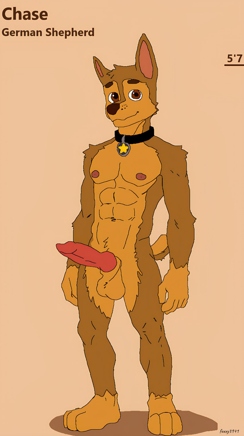 animal_genitalia animal_penis anthro balls brown_body brown_fur canine_genitalia canine_penis chart erection fur genitals height_chart looking_at_viewer male muscular muscular_male penis solo foxxy3941 paw_patrol chase_(paw_patrol) canid canine canis domestic_dog german_shepherd herding_dog mammal pastoral_dog 2025 absurd_res digital_media_(artwork) hi_res microsoft_paint_(artwork)