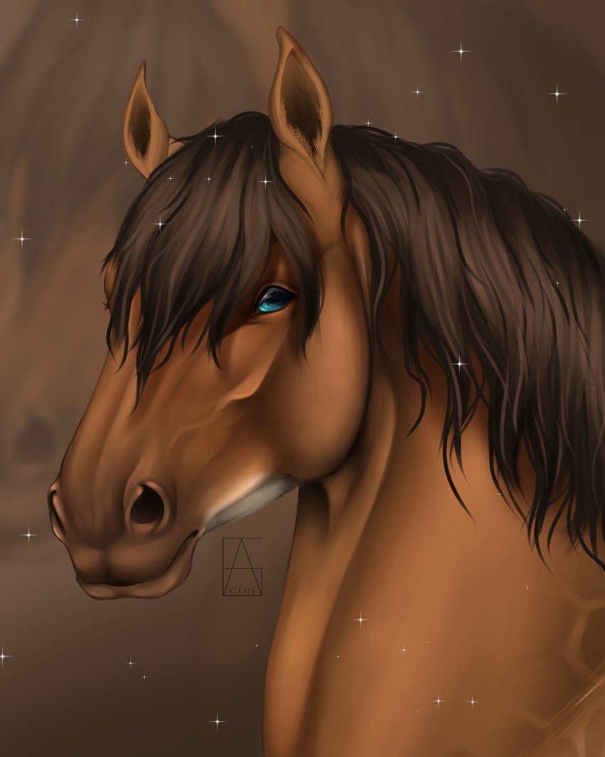 ambiguous_gender blue_eyes brown_body brown_hair brown_mane feral hair looking_at_viewer mane simple_background solo text c.dn dolero equid equine horse mammal 2020 4:5 digital_media_(artwork) english_text hi_res watermark