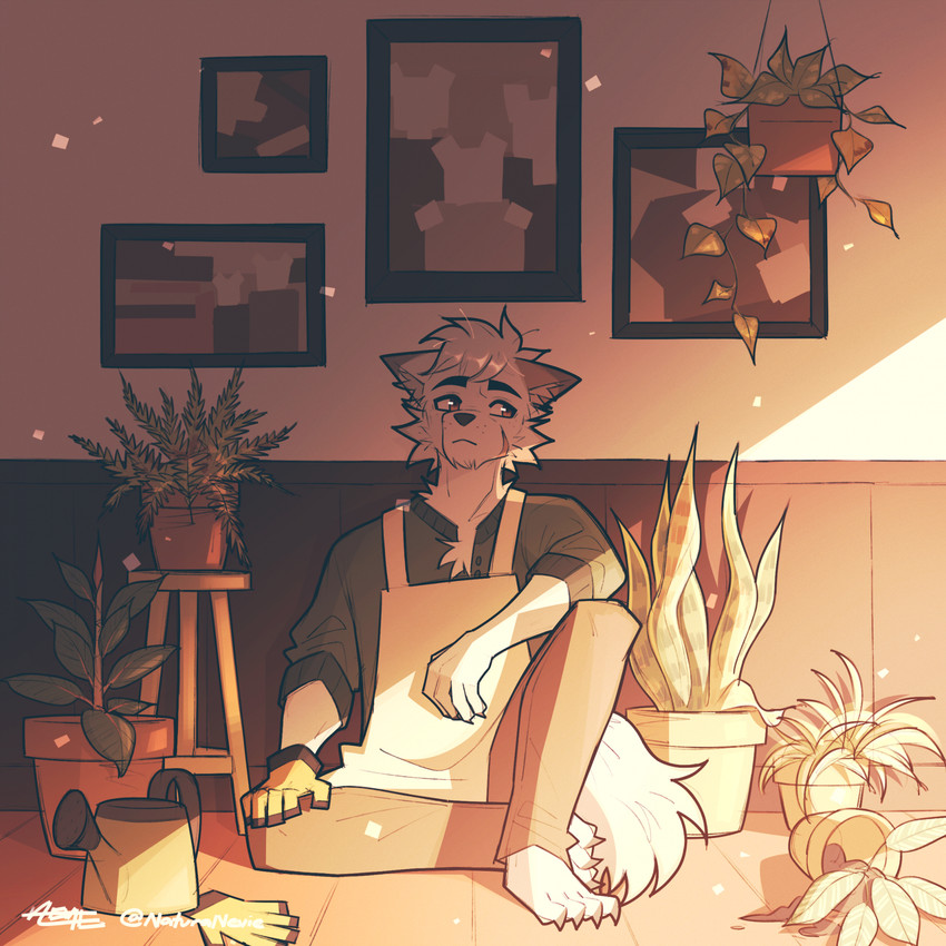 4_toes 5_fingers anthro apron black_claws black_eyebrows black_nose bottomwear brown_eyes claws clothed clothing day dipstick_ears ear_markings eyebrows feet fingers fur furniture gloves grey_inner_ear_fluff hair handwear inner_ear_fluff inside male multicolored_ears pants plant plant_pot potted_plant shirt sitting solo stool tail toes topwear tuft watering_can wearing_gloves white_body white_fur white_hair naturanevie arctic_fox canid canine fox mammal true_fox 1:1 hi_res shaded