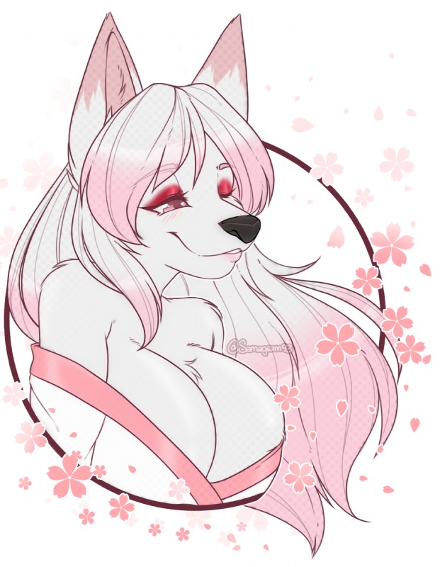 anthro asian_clothing breasts cherry_blossom cleavage clothed clothing east_asian_clothing female flower fur hair japanese_clothing kimono long_hair off_shoulder plant prunus_(flower) simple_background solo white_body white_fur samagram93 sakura_d._lyall canid canine canis mammal wolf hi_res