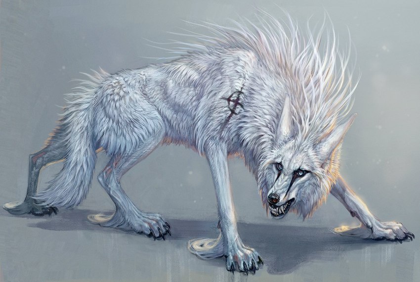 4_toes ambiguous_gender claws feet feral fur paws simple_background solo standing toes white_body white_fur nukerooster fallion canid canine canis mammal wolf 2022 digital_media_(artwork) male_(lore)