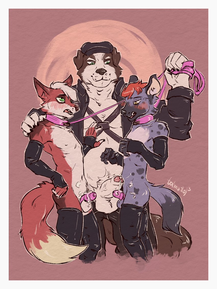 anthro balls blush border chastity_cage chastity_device collar cum_on_chastity_cage genitals group humanoid_genitalia humanoid_penis leash leash_pull male male/male mutual_chastity penis pink_chastity_cage trio white_border to(matto)3 merdreck border_collie canid canine canis collie domestic_dog fox herding_dog hyena mammal pastoral_dog sheepdog spotted_hyena 3:4 hi_res