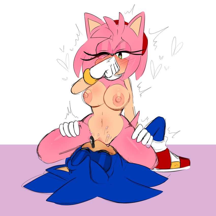 amy rose and sonic the hedgehog (sonic the hedgehog (series) and etc) created by ninotrash