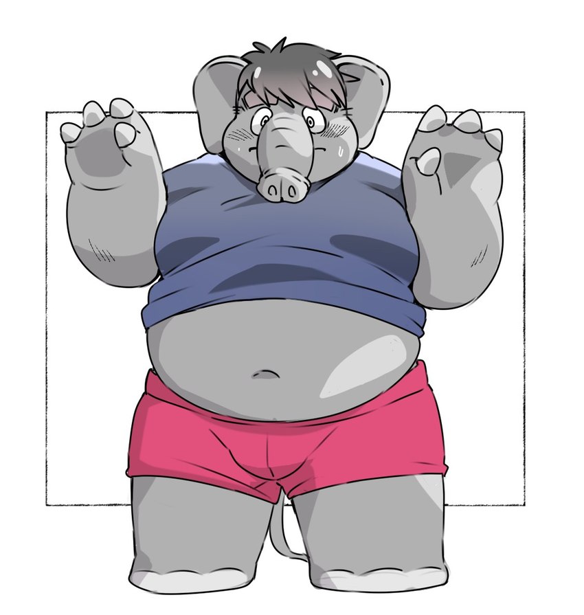 anthro belly big_belly bottomwear chubby_cheeks clothing kemono male navel overweight overweight_male shirt shorts simple_background solo topwear inunoshippo elephant elephantid mammal proboscidean 2024