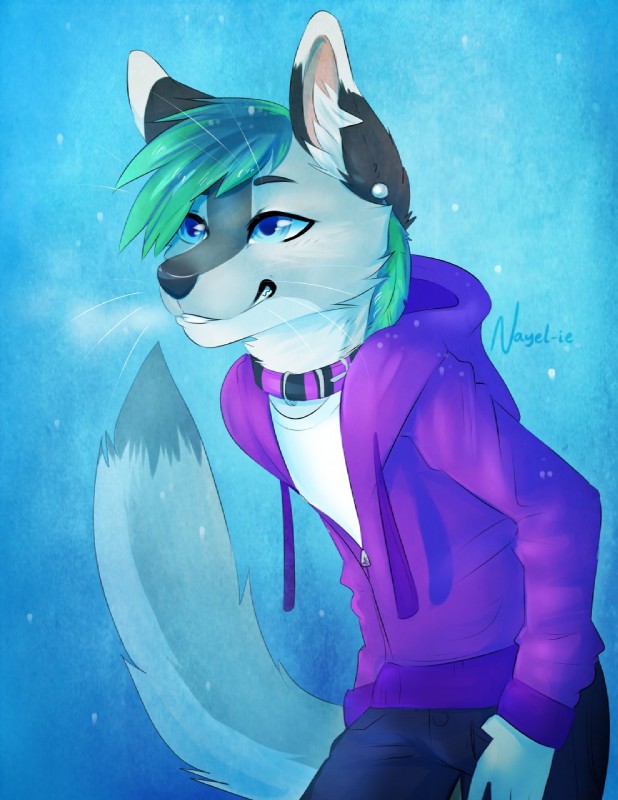 anthro biped blue_eyes clothed clothing collar dipstick_tail ear_piercing femboy grin hoodie male markings multicolored_tail piercing smile solo standing tail tail_markings topwear two_tone_tail nayel-ie canid canine canis mammal wolf 2014 hi_res