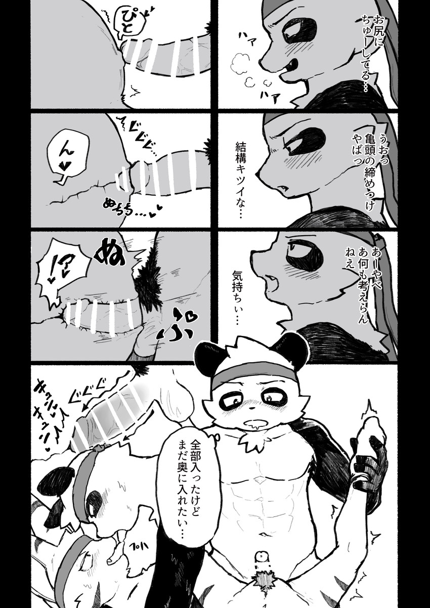anal anal_penetration anthro anthro_on_anthro anthro_penetrated anthro_penetrating anthro_penetrating_anthro black_body black_fur bodily_fluids breath censored_genitalia censored_penis cheeky clothing drooling duo erection fangs footwear french_kissing fur genitals kissing looking_pleasured male male/male male_penetrated male_penetrating male_penetrating_male open_mouth penetration penis pubes saliva sex shaking socks speech_bubble teeth text tongue tongue_out trembling white_body white_fur young young_anthro young_male siki60p bear felid giant_panda mammal pantherine tiger absurd_res censored comic hi_res japanese_text translation_request
