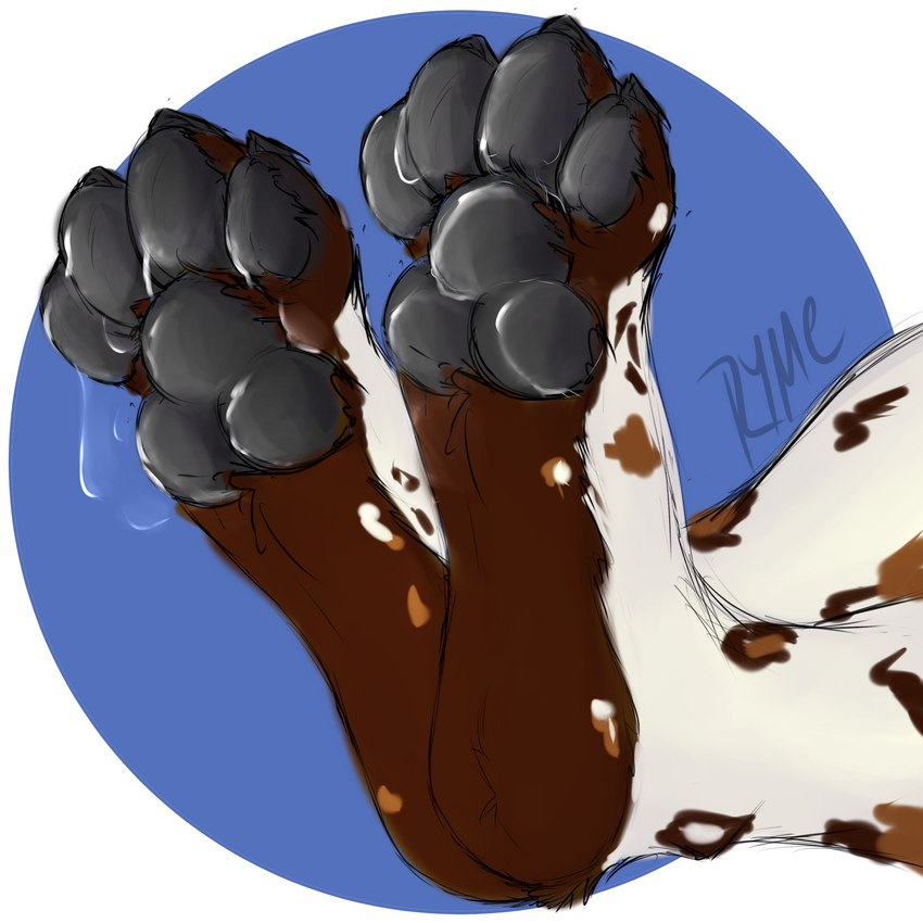 ambiguous_gender anthro black_pawpads bodily_fluids cum cum_on_feet feet foot_fetish foot_focus genital_fluids pawpads simple_background solo ryme african_wild_dog canid canine mammal 1:1 absurd_res hi_res shaded simple_shading