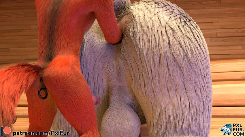 anal anthro balls duo fisting genitals male male/male penetration penis plug sex_toy size_difference toy conditional_dnp pxlfur bear canid canine fox mammal polar_bear ursine 16:9 3d_(artwork) digital_media_(artwork) hi_res widescreen