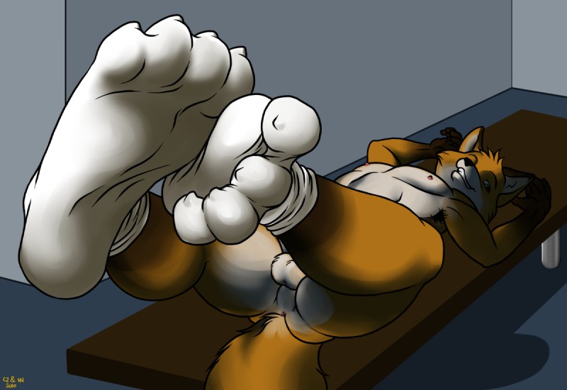 4_toes anthro anus armpit_hair balls body_hair clothing feet foot_focus footwear genitals hindpaw legwear locker_room male nude paws plantigrade socks solo tail toes white_clothing white_footwear white_legwear white_socks charon2 neoneon canid canine fox mammal digital_media_(artwork)