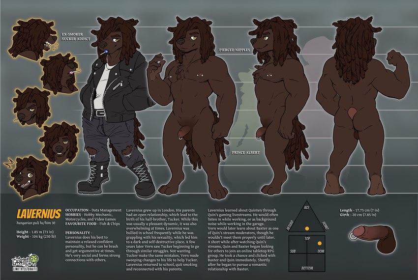 anthro balls butt character_bio chart clothed clothing dreadlocks expressions genital_piercing genitals height_chart male muscular muscular_anthro muscular_male nipple_piercing nipples nude penis penis_piercing piercing solo text conditional_dnp draite lavernius_(draite) canid canine canis domestic_dog mammal puli english_text hi_res model_sheet