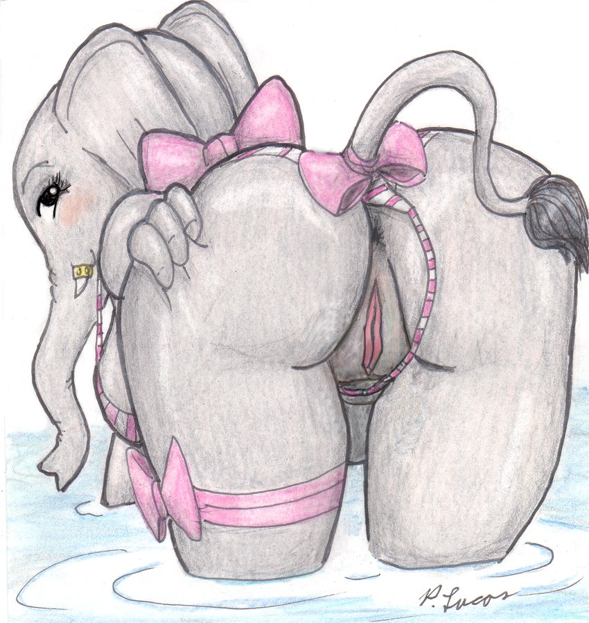 anthro anus bent_over bikini bikini_aside bikini_bottom_aside blush bow_ribbon breasts butt butt_focus clothing clothing_aside eyelashes female genitals grey_body grey_skin looking_at_viewer looking_back looking_back_at_viewer nude partially_submerged presenting presenting_hindquarters pussy solo swimwear swimwear_aside tail tail_tuft text trunk tuft tusks two-piece_swimsuit paul_lucas elephant elephantid mammal proboscidean english_text hi_res traditional_media_(artwork)