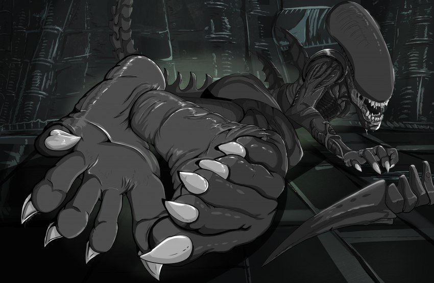 ambiguous_gender anthro bodily_fluids claws dripping feet foot_fetish foot_focus hindpaw hive lying on_front paws pose saliva saliva_drip saliva_string soles solo sting tail teasing teasing_viewer teasing_with_feet toes wrinkled_feet wrinkles robinthefox alien_(franchise) alien xenomorph