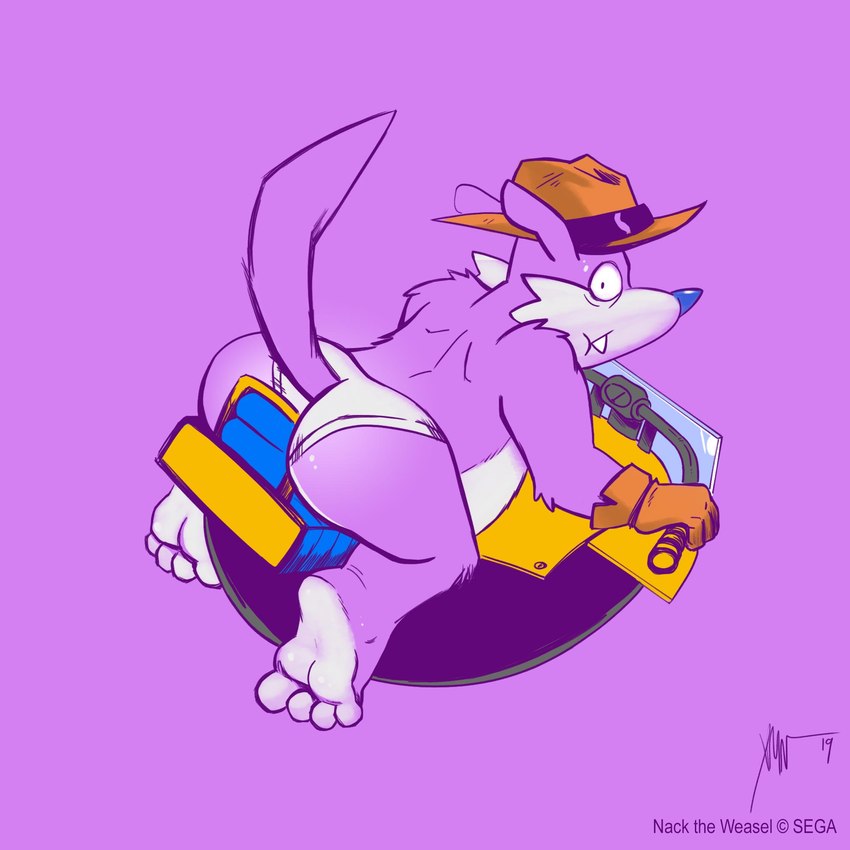 anthro barefoot big_butt biped briefs butt clothing embarrassed feet fur gloves handwear hat headgear headwear looking_at_viewer male marvelous_queen overbite overweight overweight_anthro overweight_male purple_body purple_fur solo underwear vehicle white_body white_fur impximon sega sonic_the_hedgehog_(series) fang_the_hunter dipodid jerboa mammal rodent 1:1 2019 hi_res signature