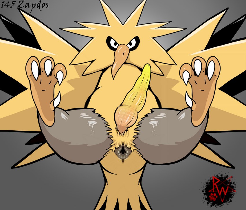 4_toes animal_genitalia anus avian_feet beak big_penis butt claws curling_toes erection feathers feet feral genitals grey_anus legendary_birds legendary_trio looking_at_viewer male penis presenting puffy_anus simple_background soles solo spread_legs spreading talons toe_claws toes vein veiny_penis wings yellow_body yellow_penis rapistwerewolf nintendo pokemon avian bird generation_1_pokemon legendary_pokemon pokemon_(species) zapdos digital_media_(artwork) hi_res