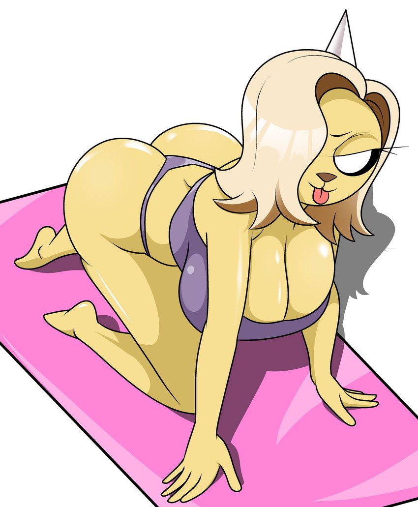 :3 all_fours anthro big_breasts bikini breasts cleavage clothed clothing female hair hair_over_eye huge_breasts looking_at_viewer one_eye_obstructed simple_background solo swimwear tongue tongue_out two-piece_swimsuit white_background yoga wallyroo adventure_time cartoon_network bronwyn_(adventure_time) bear canid canine canis domestic_dog mammal rainicorn absurd_res hi_res