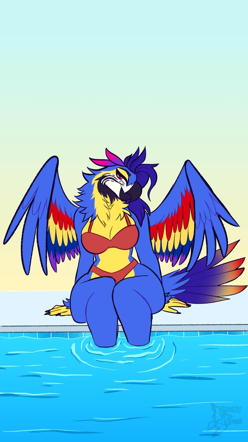 anthro beak big_breasts bikini bikini_bottom bikini_top breasts clothing feathers female looking_at_viewer non-mammal_breasts pool solo swimwear tail thick_thighs two-piece_swimsuit wide_hips wings hungrycrow avian bird macaw neotropical_parrot parrot true_parrot hi_res