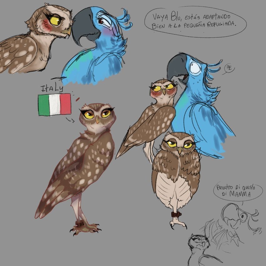 beak blue_body blue_feathers brown_body brown_feathers dialogue_box duo feathers female italian_flag male male/female simple_background text pikrowlet blu_waifu blue_sky_studios rio_(series) betta_the_burrowing_owl_(blu_waifu) blu_(rio) fan_character athene_(genus) avian bird burrowing_owl macaw neotropical_parrot owl parrot spix's_macaw true_owl true_parrot hi_res italian_text partially_translated sketch spanish_text translation_check translation_request