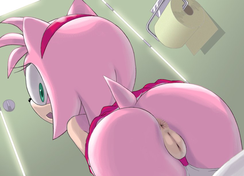 amy rose (sonic the hedgehog (series) and etc) created by apostle