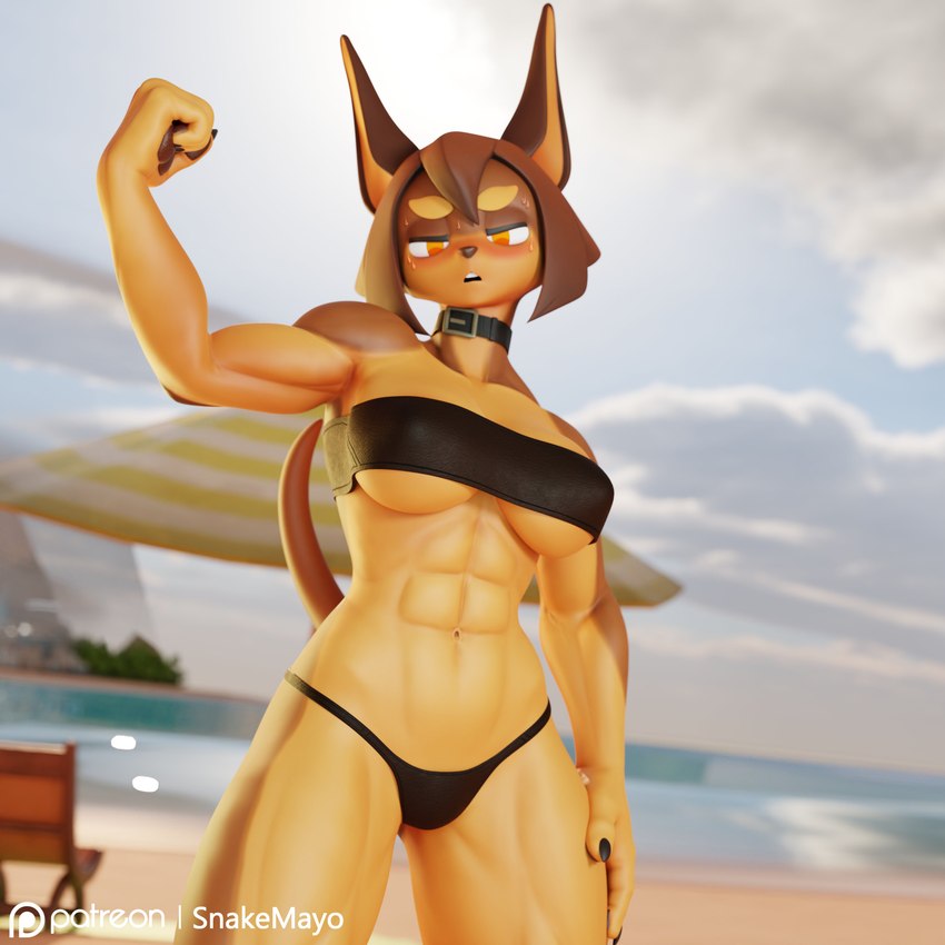 abs angry anthro athletic athletic_female bandeau beach bikini bikini_bottom black_bikini black_clothing black_swimwear blush bodily_fluids breasts brown_hair clothing collar embarrassed female flexing fur hair multicolored_body multicolored_fur muscular muscular_anthro muscular_female muscular_thighs navel seaside solo sweat swimwear topwear tube_top two-piece_swimsuit two_tone_body two_tone_fur under_boob snakemayo dog_knight_rpg rory_(ceehaz) canid canine canis dobermann domestic_dog mammal pinscher 1:1 2023 3d_(artwork) absurd_res digital_media_(artwork) hi_res