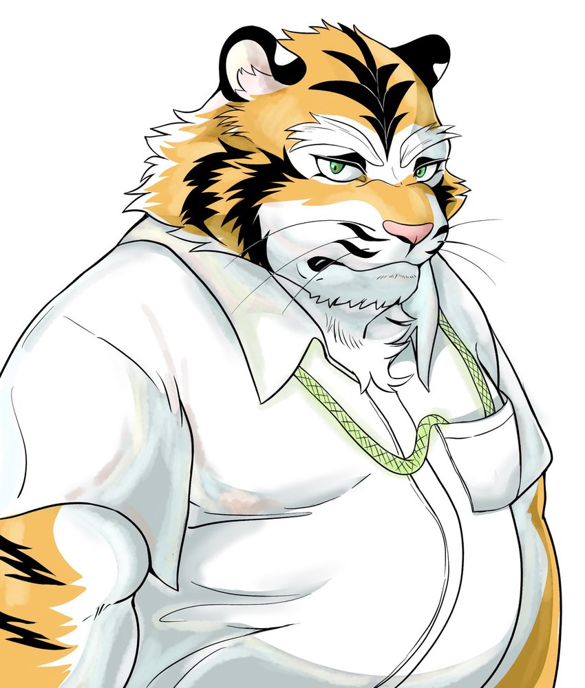 anthro belly big_belly clothing green_eyes kemono male overweight overweight_male pink_nose shirt simple_background solo topwear white_background hysk felid mammal pantherine tiger 2023 hi_res portrait