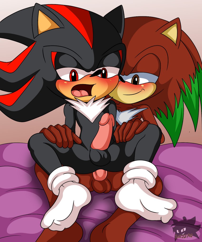 fan character and shadow the hedgehog (sonic the hedgehog (series) and etc) created by sirjzau