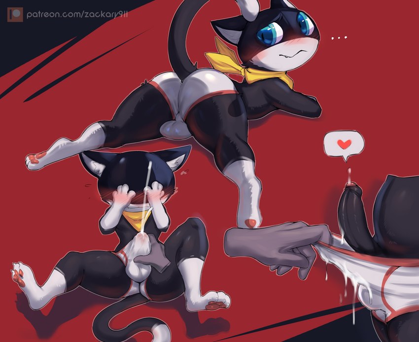 morgana (megami tensei persona and etc) created by zackary911