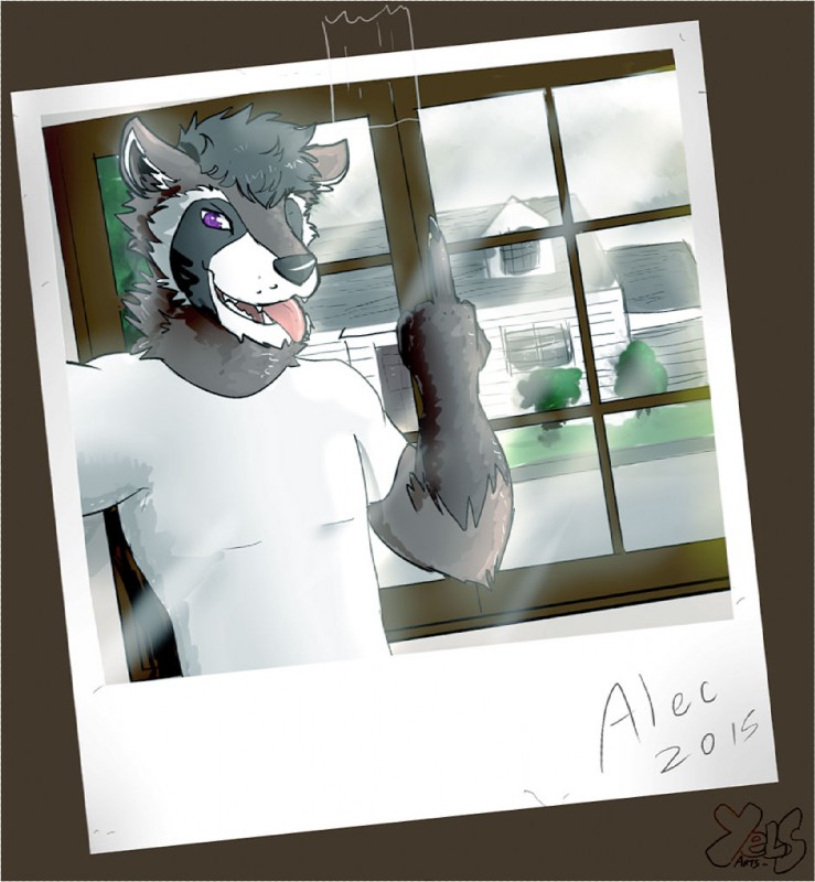 anthro brazil building character_signature clothed clothing fur gesture hair hand_gesture house inside male middle_finger open_mouth photo polaroid_photo purple_eyes selfie shirt signed_photo smile solo t-shirt tape teeth tongue tongue_out topwear white_clothing white_shirt white_t-shirt white_topwear window winter yelsarts_(artist) alec_(alecrc) mammal procyonid raccoon digital_media_(artwork)