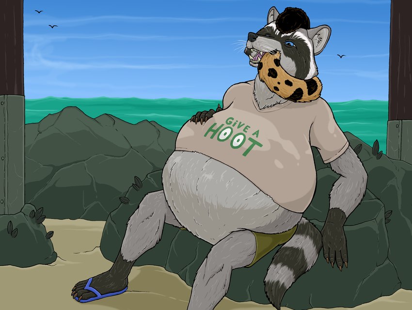 almost_fully_inside ambiguous_gender ambiguous_prey anthro anthro_pred belly big_belly blue_eyes body_in_mouth bottomwear clothing duo flip_flops footwear fur grey_body grey_fur head_first male male_pred markings open_mouth oral_vore outside sand sandals sea shirt shoes shorts snout soft_vore spots spotted_markings spotted_tail striped_markings striped_tail stripes tail tail_markings topwear vore water whiskers strega ranger_rick ranger_rick_(character) ambient_bird avian bird cheetah felid feline mammal procyonid raccoon digital_media_(artwork) hi_res