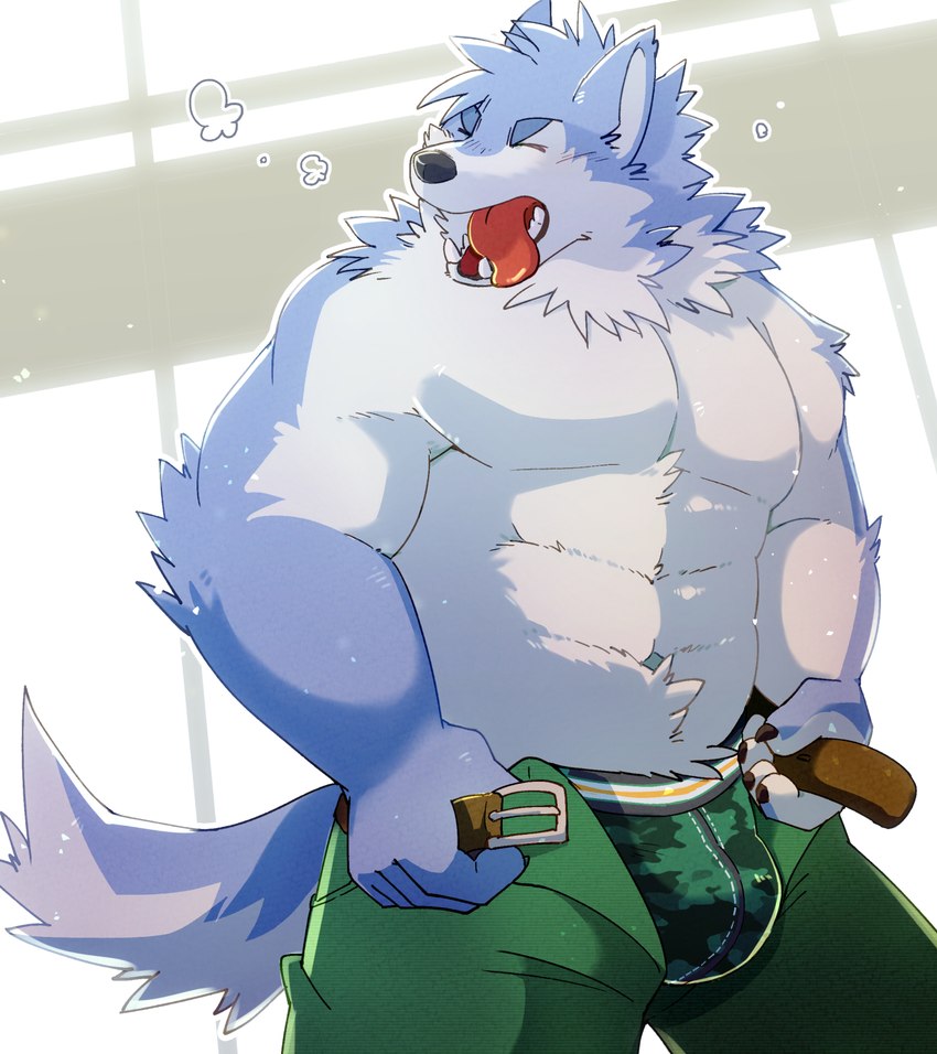 anthro blue_body blue_fur bottomwear bulge clothing eyes_closed fur humanoid_hands kemono male pants solo tongue tongue_out underwear green_bell canid canine canis domestic_dog mammal 2022 hi_res