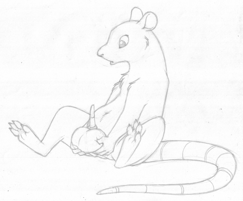 animal_genitalia anthro ball_fondling balls big_balls biped erection fondling genitals hand_on_own_balls holding_balls long_tail looking_at_self looking_down male penis reclining semi-anthro sheath sitting small_penis solo tail tapering_penis mizzyam mammal murid murine rat rodent graphite_(artwork) greyscale hi_res monochrome traditional_media_(artwork)