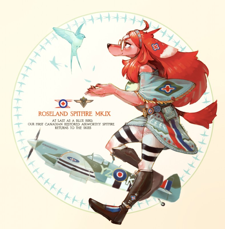 ahoge aircraft ambiguous_gender anthro blue_body blue_feathers boots canada clothed clothing duo eyewear feathers feral fluffy fluffy_tail footwear fur glasses hair legwear long_hair pink_body pink_fur red_hair shoes solo_focus tail text thigh_highs vehicle hideki_kaneda rolls-royce spitfire_mk_ix supermarine_spitfire spitfire_(hideki_kaneda) avian bird canid canine canis domestic_dog mammal 2018 english_text hi_res