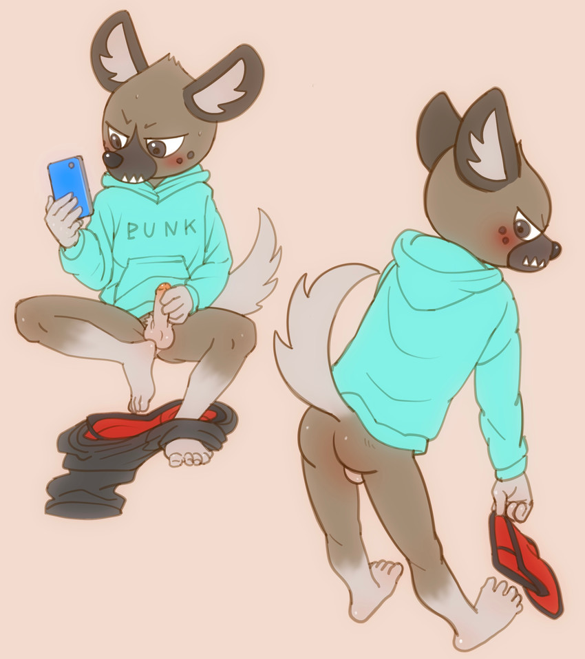 anthro blush bottomless cellphone clothed clothing electronics genitals hoodie humanoid_genitalia humanoid_penis male masturbation penis phone solo topwear torte aggretsuko sanrio haida_(aggretsuko) hyena mammal spotted_hyena absurd_res hi_res