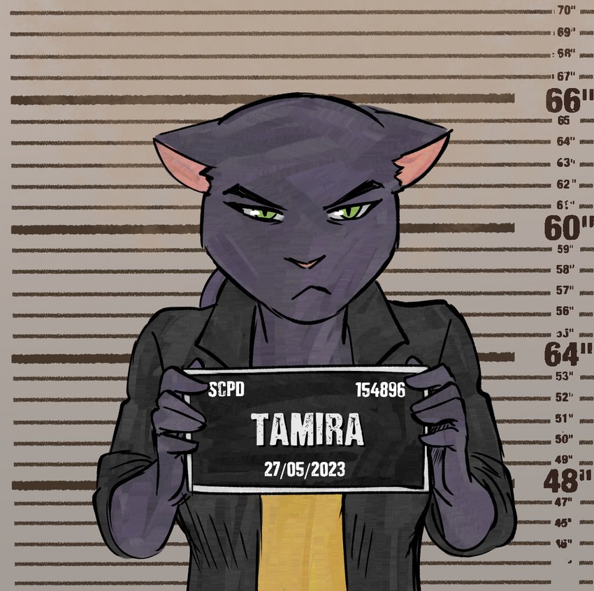 anthro female mugshot solo upset finateh barbie_and_ken_mugshot_meme rimba_racer tamira_(rimba_racer) felid feline mammal pantherine hi_res