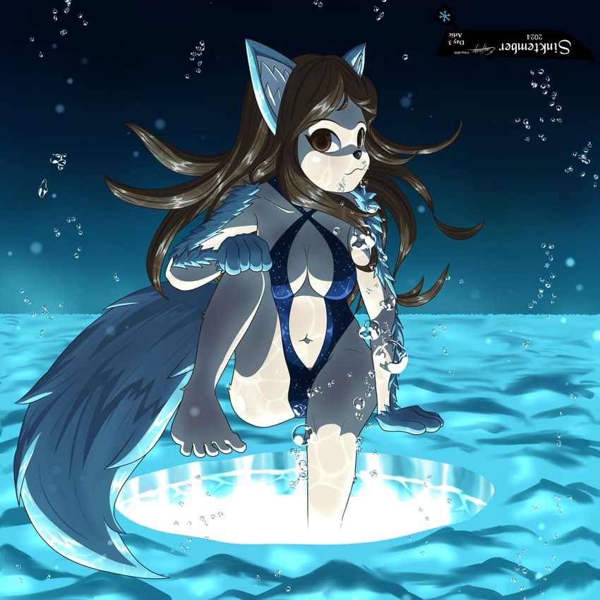 anthro arm_markings blue_clothing blue_ears blue_hands blue_markings blue_swimwear blue_tail breasts brown_eye brown_hair bubble clothing detailed_background female foot_in_water fur hair hand_on_ground hand_on_knee hand_on_leg handpaw ice looking_at_viewer markings midriff one-piece_swimsuit one_leg_up paws raised_leg sitting solo swimwear tail underwater upside_down water white_body white_fur evan_harrey sinktember sinktember_2024 yukiko_snowflake_(character) canid canine canis mammal wolf 1:1