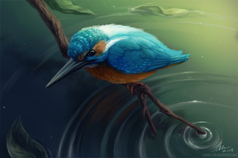 ambiguous_gender beak black_beak blue_body blue_feathers branch feathers feral leaf on_branch solo standing water aurru avian bird common_kingfisher coraciiform kingfisher 2018 digital_media_(artwork)