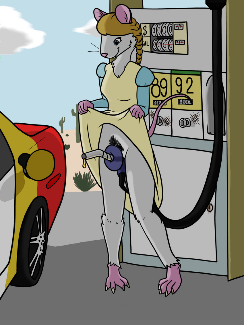 anthro blonde_hair blue_eyes breasts car clothed clothing desert dress female fur gas_station gasoline hair outside pink_body pink_skin pubes raised_clothing raised_dress slim small_breasts solo vehicle whiskers white_body white_fur pencilsdgr sugar_(pencilsdgr) mammal mouse murid murine rodent 3:4 hi_res