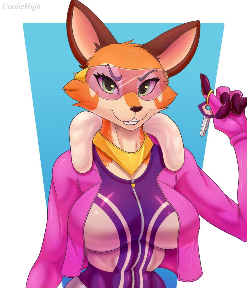 anthro bodysuit breasts clothing eyewear female goggles jacket jewelry key looking_at_viewer necklace skinsuit smile smirk solo tight_clothing topwear cooliehigh glue_studios rimba_racer meika_(rimba_racer) canid canine fox mammal 2019 hi_res signature