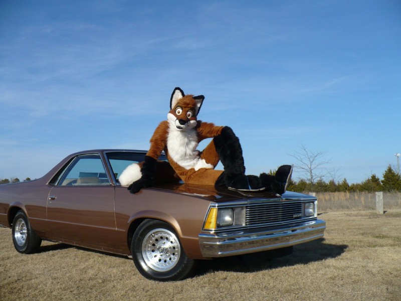 jimdalefox (chevrolet el camino and etc) created by unknown artist