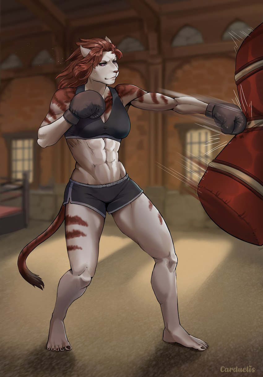 5_toes anthro athletic_wear bottomwear boxing boxing_gloves bra clothing feet female gym gym_bottomwear gym_shorts hair handwear muscular muscular_female red_hair shorts solo sport sports_bra toes underwear white_body carduelis final_fantasy final_fantasy_xiv square_enix felid feline hrothgar mammal hi_res