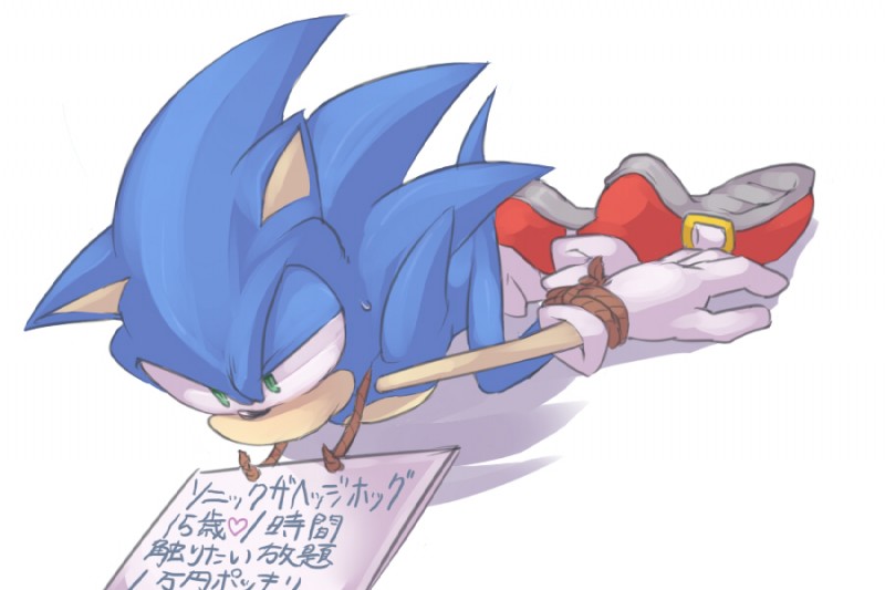 anthro bdsm biped blue_body blue_fur bodily_fluids bondage bound clothing footwear fur gloves green_eyes handwear heart_symbol hogtied male rope shoes sign simple_background solo sweat text white_background nashi_(intothe_bluesky) sega sonic_the_hedgehog_(series) sonic_the_hedgehog eulipotyphlan hedgehog mammal 3:2 japanese_text translated