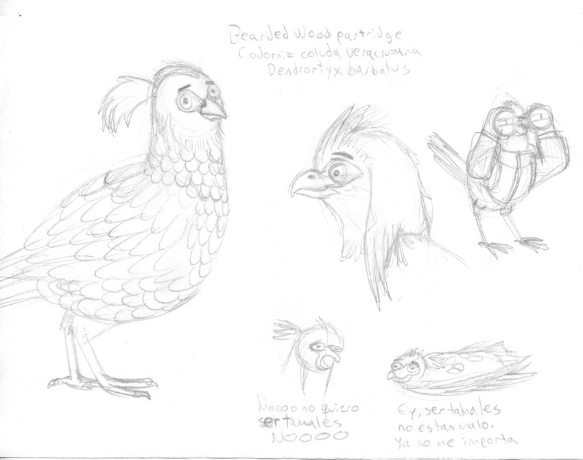 avian_feet binoculars eyebrows feathers feral hair male ponytail solo tail tail_feathers tamales text thick_eyebrows efradraws avian bearded_wood-partridge bird chivizcoyo galliform phasianid quail absurd_res graphite_(artwork) hi_res monochrome sketch spanish_text traditional_media_(artwork) translated