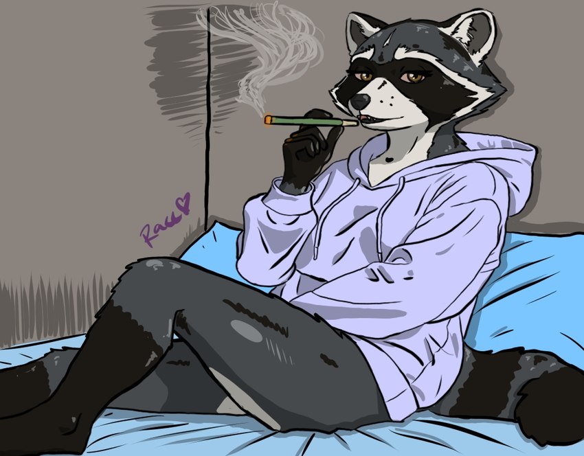 anthro bottomless clothed clothing drugs female hoodie hoodie_only marijuana oversized_clothing oversized_hoodie oversized_topwear raccisntbacc solo topwear topwear_only mammal procyonid raccoon legs