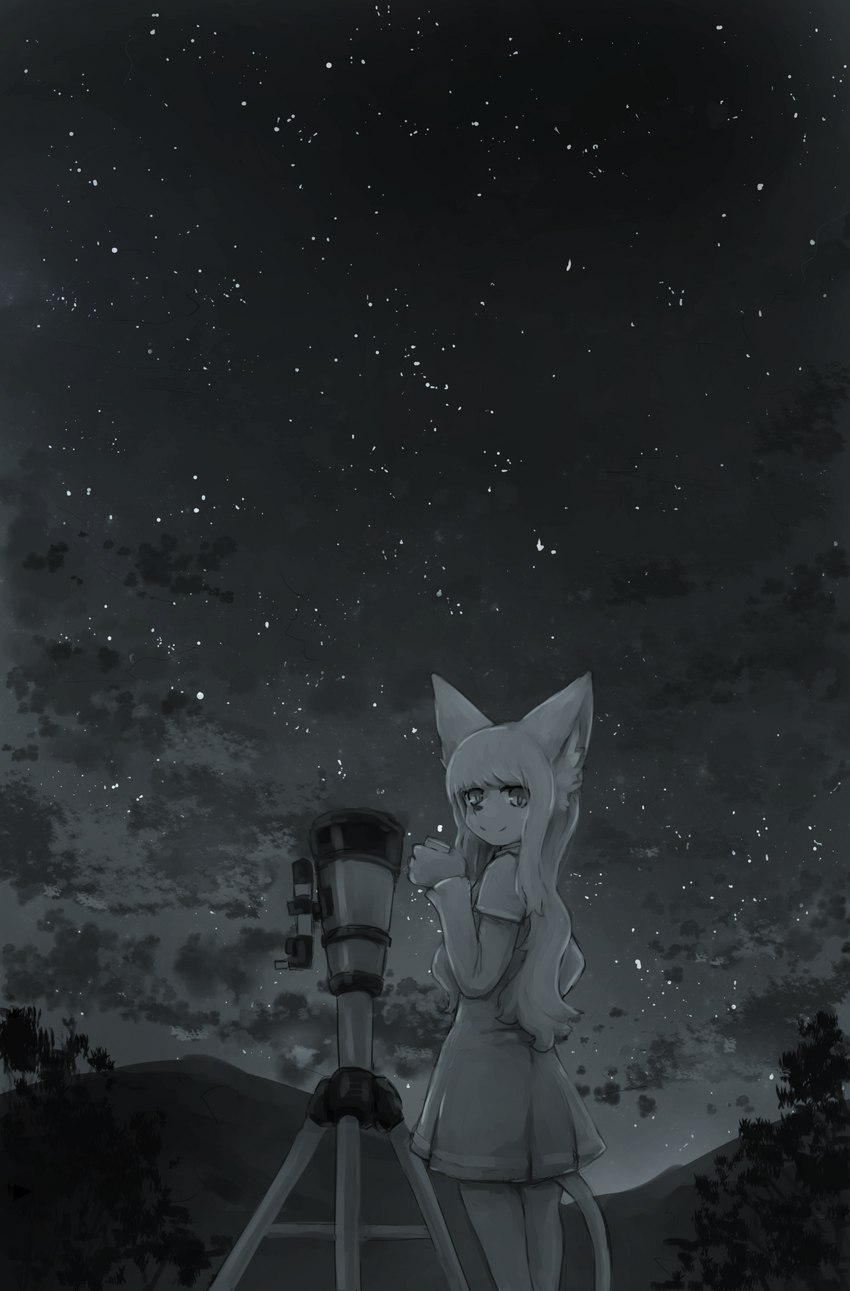 anthro detailed_background female female_anthro hair holding_object inner_ear_fluff kemono long_hair looking_at_viewer looking_back looking_back_at_viewer mountain night plant sky solo standing star stargazing starry_sky telescope tuft naegi canid canine fox mammal 2019 digital_media_(artwork) digital_painting_(artwork) hi_res monochrome